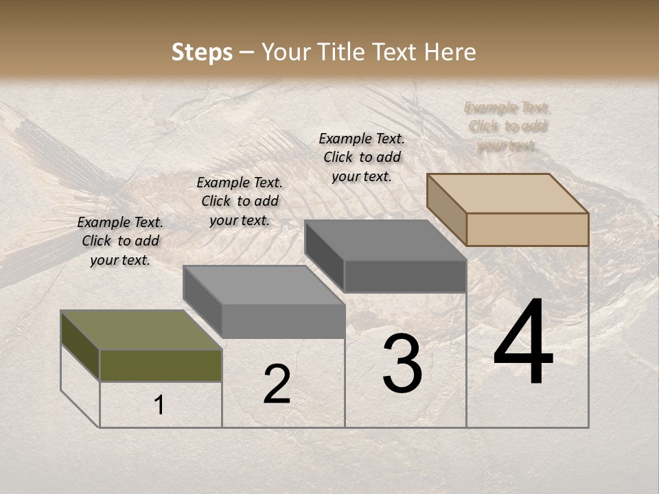 Evolution Aged Science PowerPoint Template
