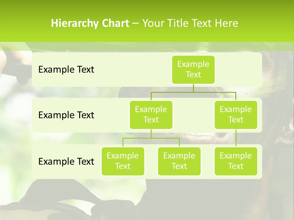 Human Desperate Suicide PowerPoint Template