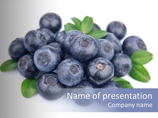 Fresh Dessert Huckleberry PowerPoint Template