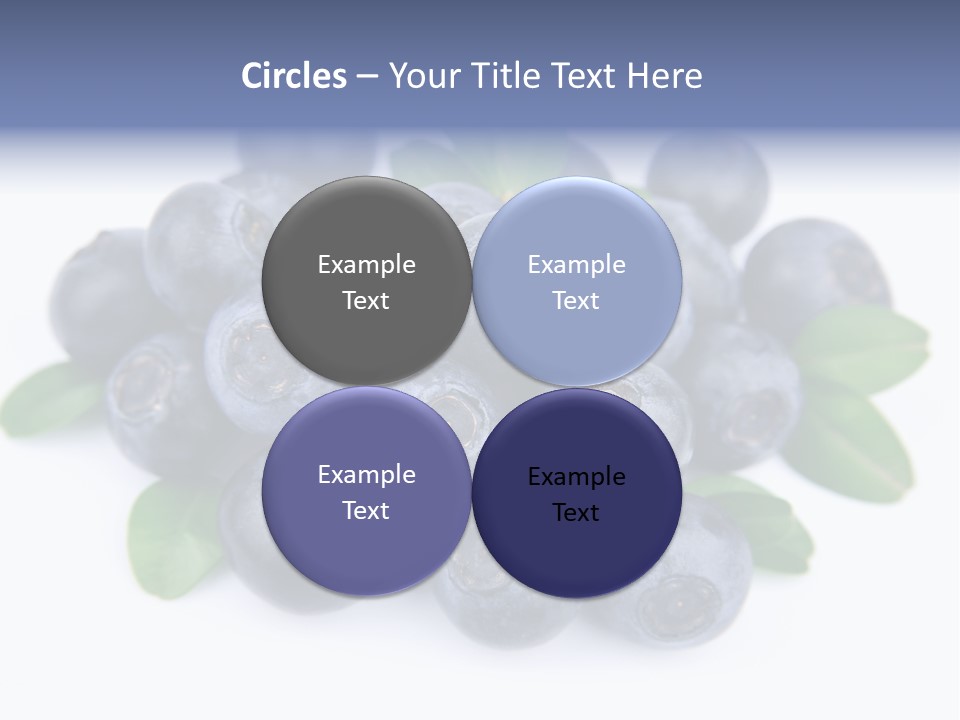 Fresh Dessert Huckleberry PowerPoint Template