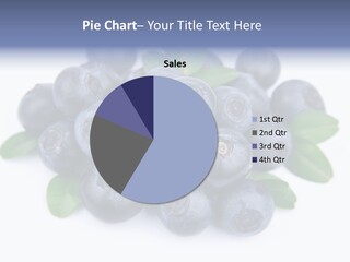 Fresh Dessert Huckleberry PowerPoint Template