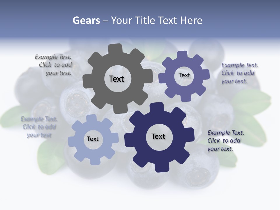 Fresh Dessert Huckleberry PowerPoint Template