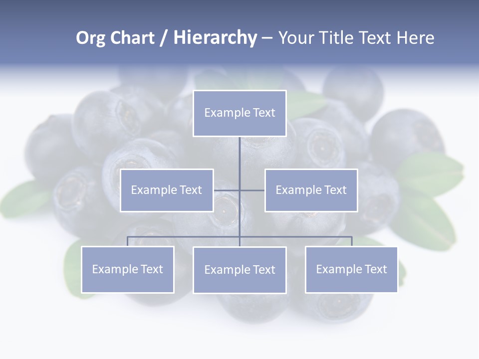 Fresh Dessert Huckleberry PowerPoint Template