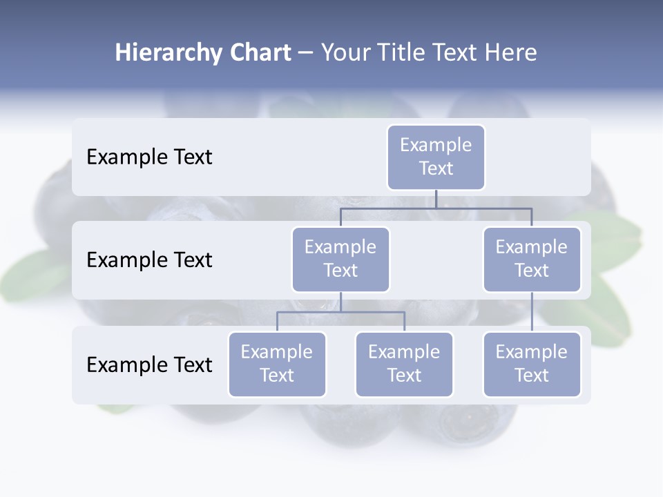 Fresh Dessert Huckleberry PowerPoint Template