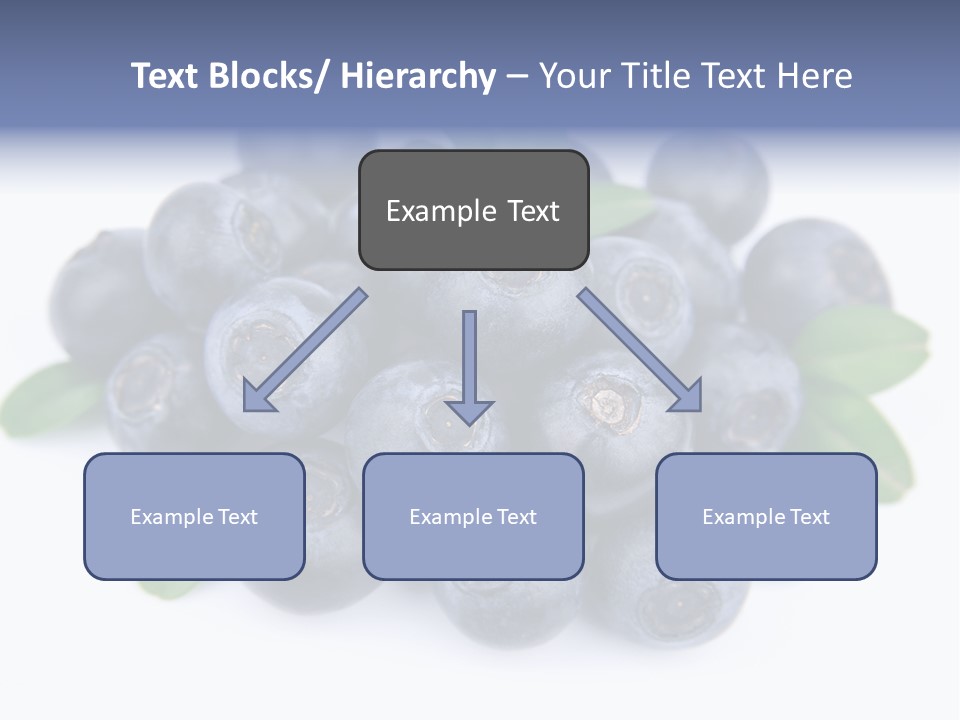 Fresh Dessert Huckleberry PowerPoint Template