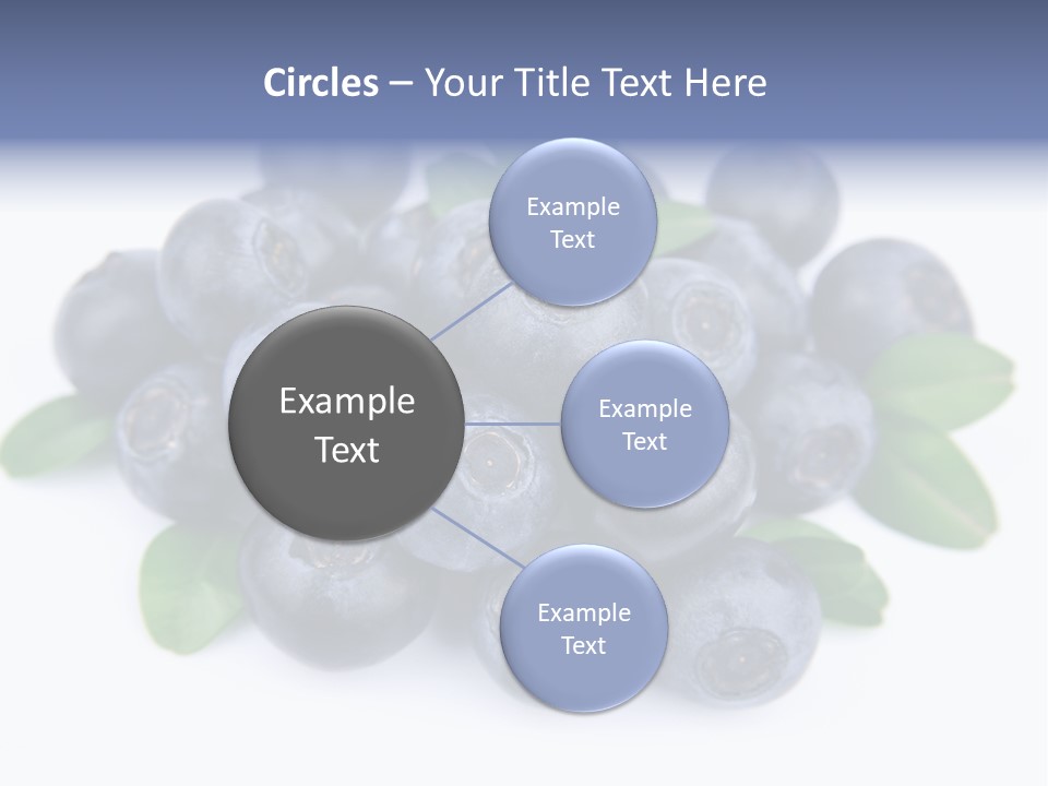 Fresh Dessert Huckleberry PowerPoint Template