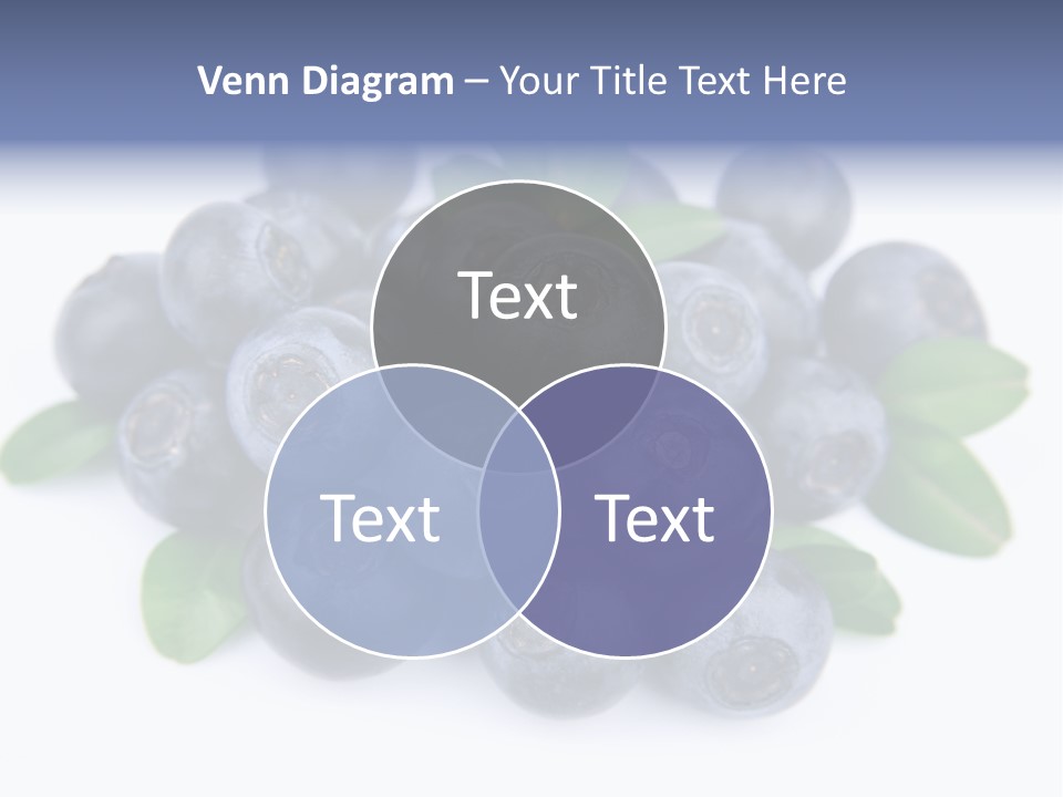 Fresh Dessert Huckleberry PowerPoint Template