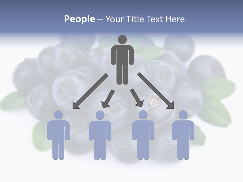 Fresh Dessert Huckleberry PowerPoint Template