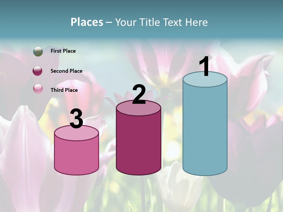Sunlight Flora Colorful PowerPoint Template