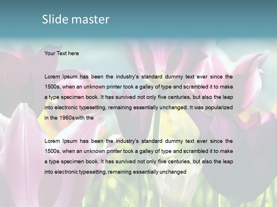 Sunlight Flora Colorful PowerPoint Template