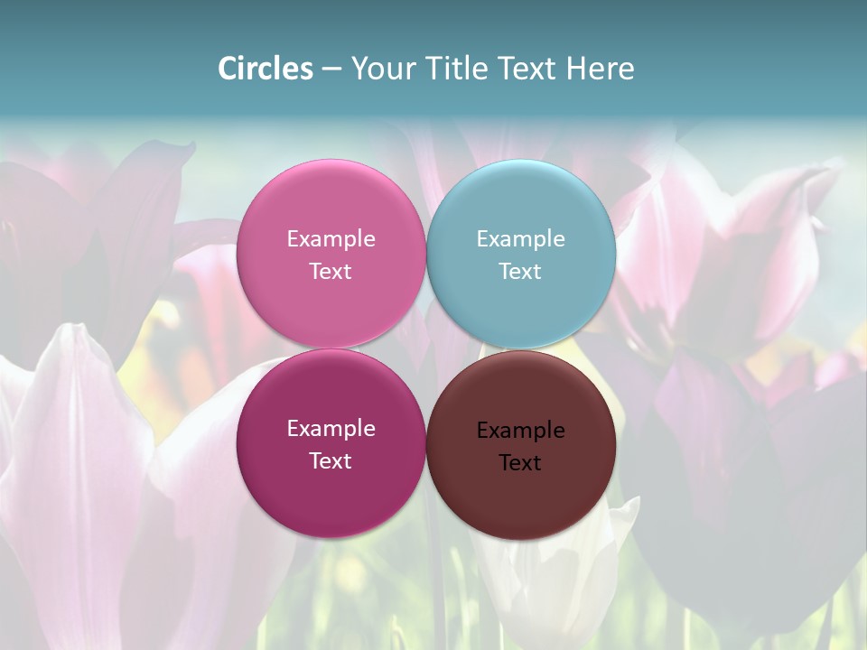 Sunlight Flora Colorful PowerPoint Template