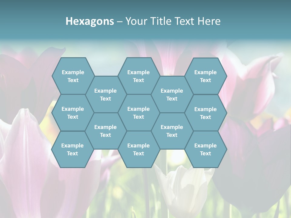 Sunlight Flora Colorful PowerPoint Template