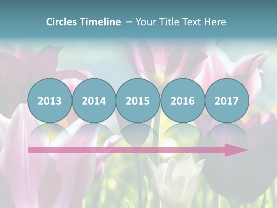 Sunlight Flora Colorful PowerPoint Template