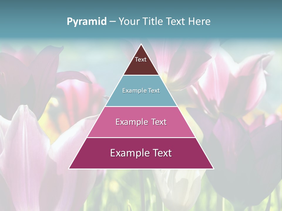 Sunlight Flora Colorful PowerPoint Template