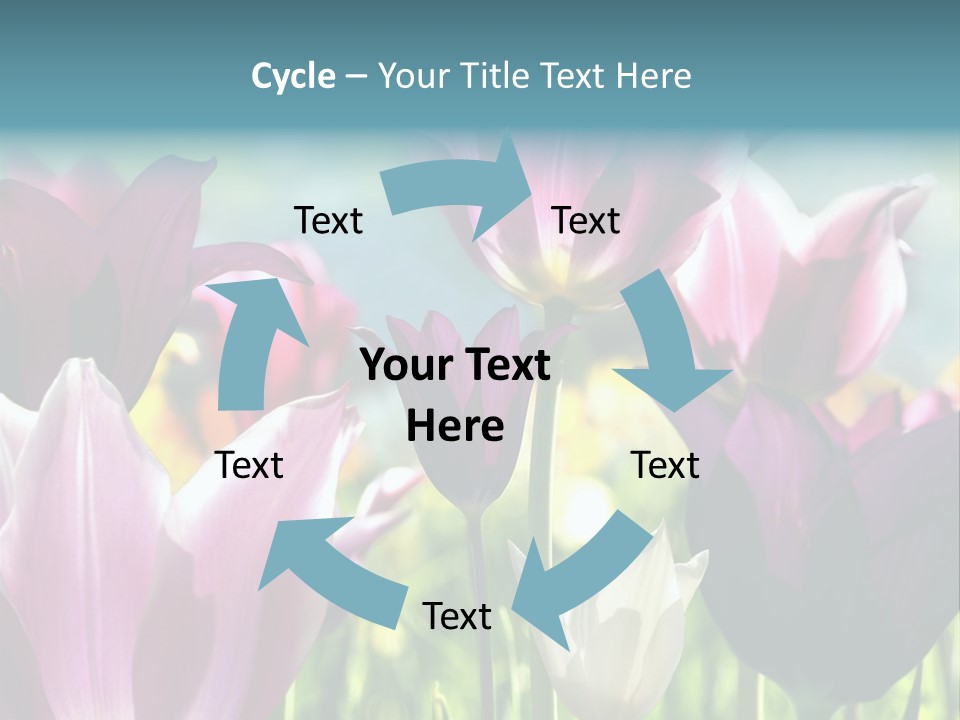 Sunlight Flora Colorful PowerPoint Template