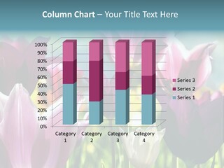 Sunlight Flora Colorful PowerPoint Template