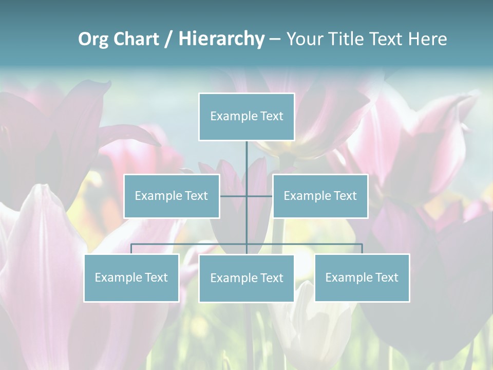 Sunlight Flora Colorful PowerPoint Template