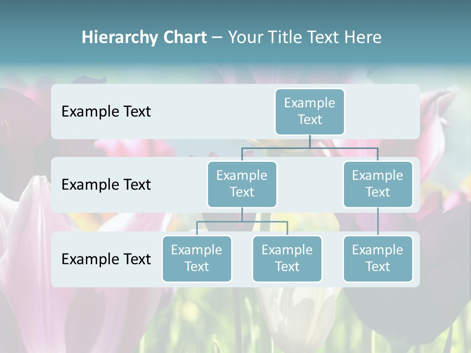 Sunlight Flora Colorful PowerPoint Template