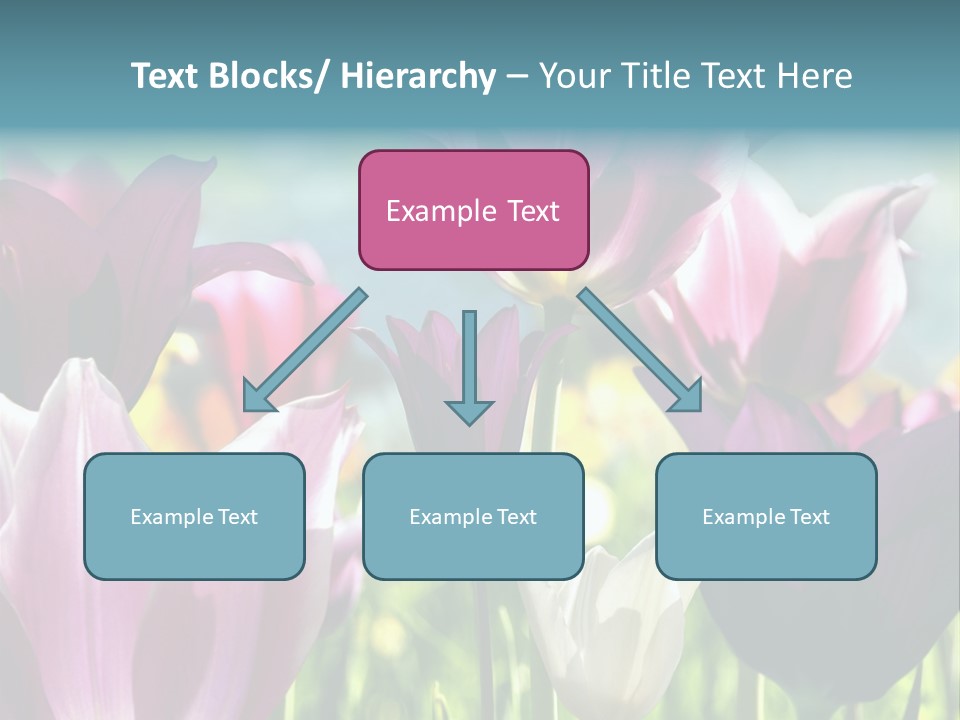 Sunlight Flora Colorful PowerPoint Template