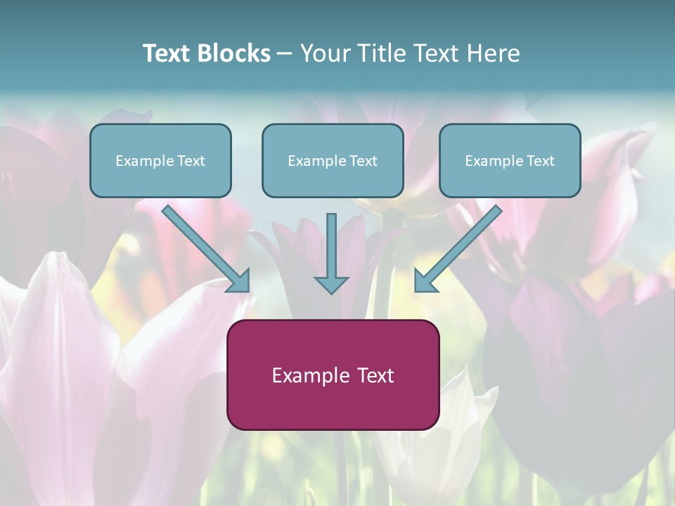 Sunlight Flora Colorful PowerPoint Template