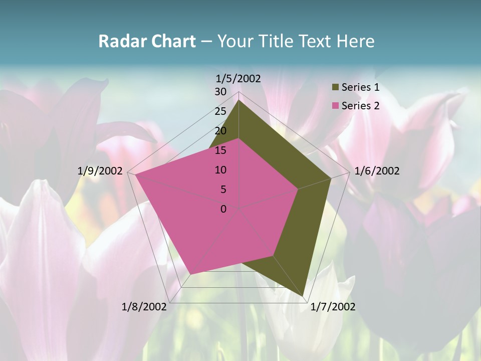 Sunlight Flora Colorful PowerPoint Template