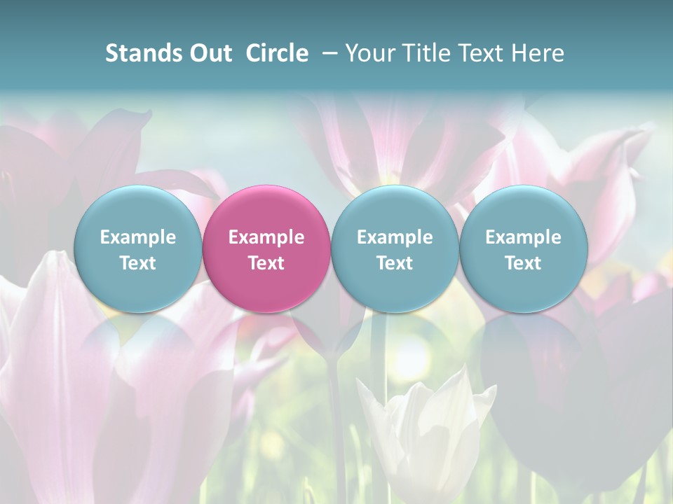 Sunlight Flora Colorful PowerPoint Template