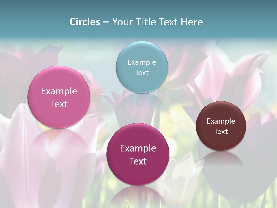Sunlight Flora Colorful PowerPoint Template