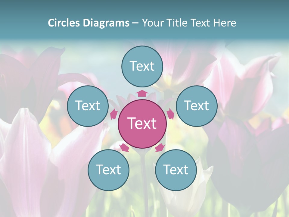 Sunlight Flora Colorful PowerPoint Template