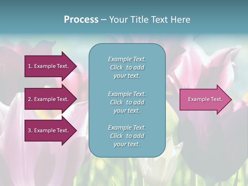 Sunlight Flora Colorful PowerPoint Template