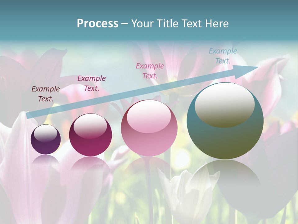 Sunlight Flora Colorful PowerPoint Template