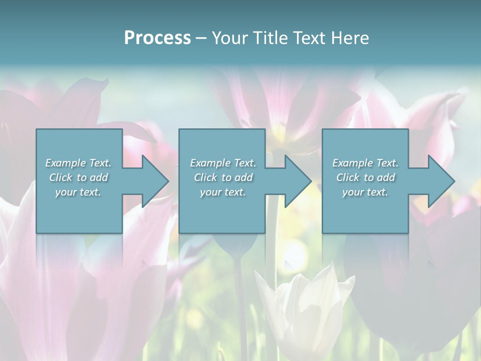 Sunlight Flora Colorful PowerPoint Template