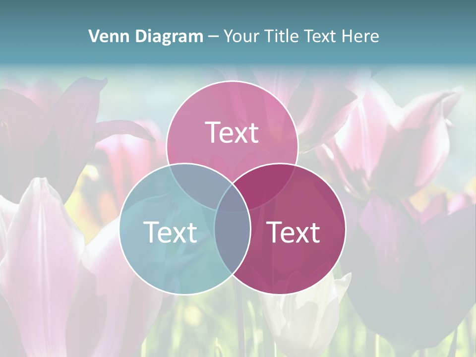 Sunlight Flora Colorful PowerPoint Template