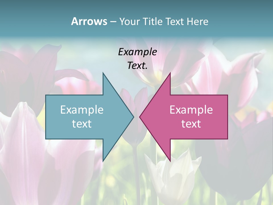 Sunlight Flora Colorful PowerPoint Template