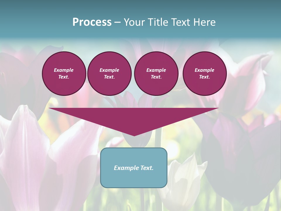 Sunlight Flora Colorful PowerPoint Template