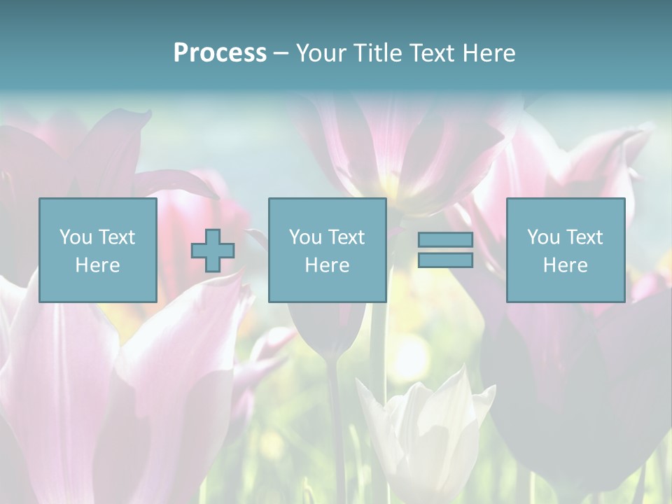 Sunlight Flora Colorful PowerPoint Template