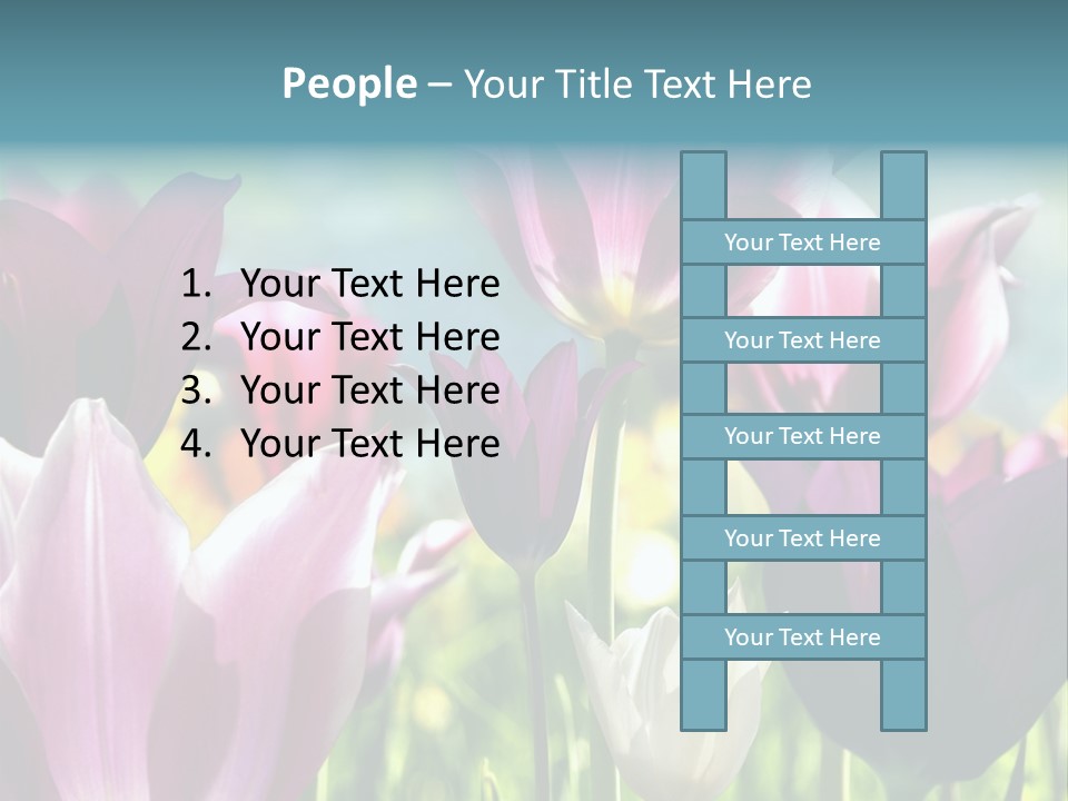 Sunlight Flora Colorful PowerPoint Template