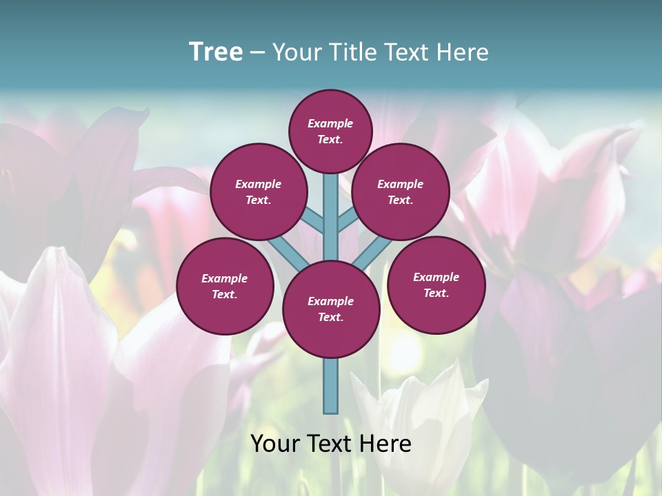 Sunlight Flora Colorful PowerPoint Template