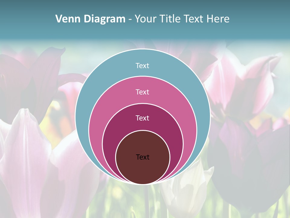 Sunlight Flora Colorful PowerPoint Template