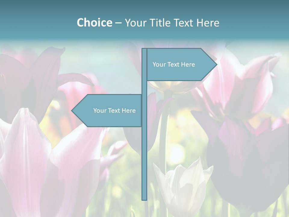 Sunlight Flora Colorful PowerPoint Template