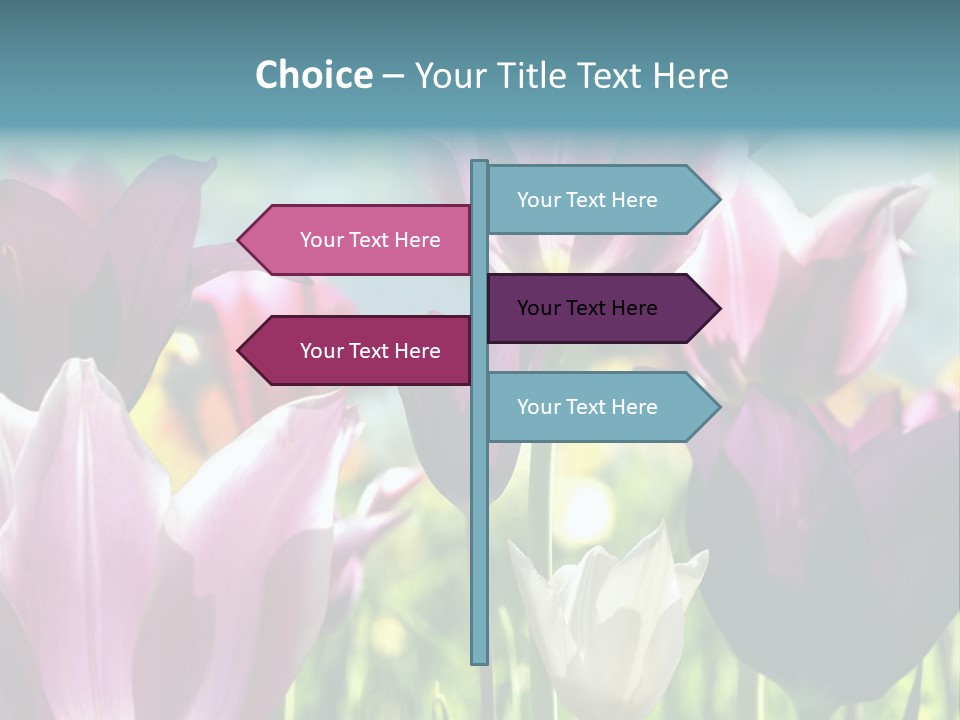 Sunlight Flora Colorful PowerPoint Template