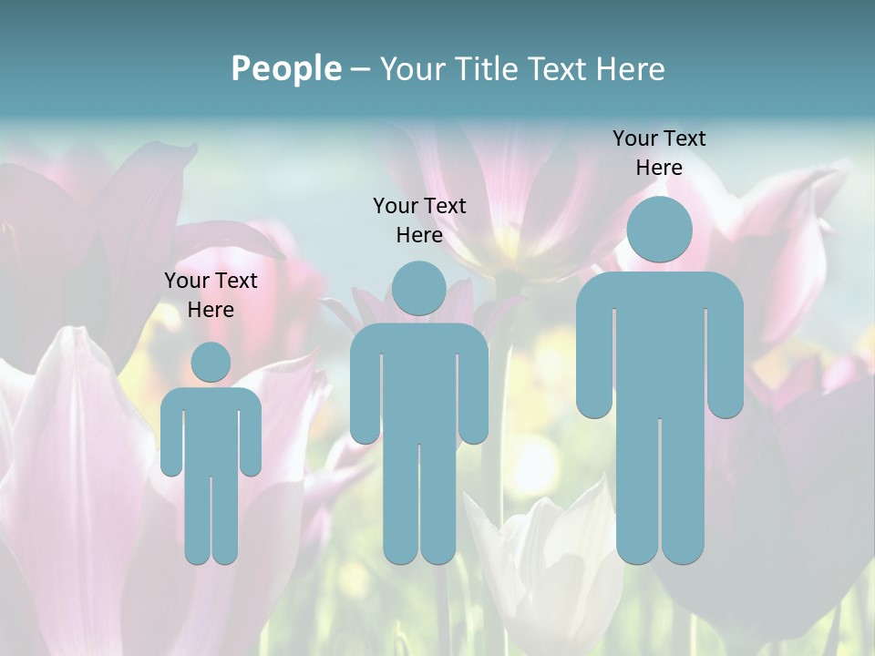 Sunlight Flora Colorful PowerPoint Template