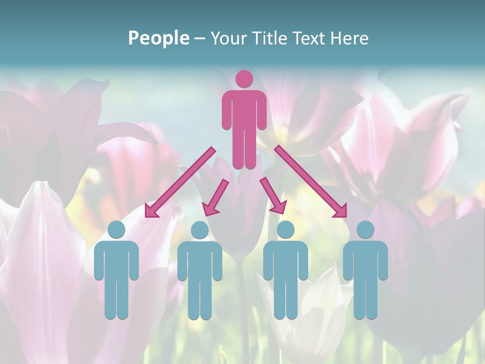 Sunlight Flora Colorful PowerPoint Template