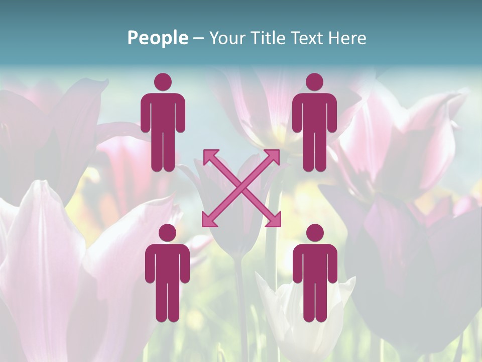 Sunlight Flora Colorful PowerPoint Template