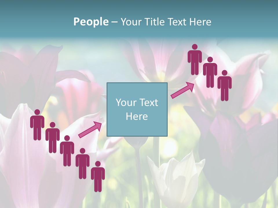 Sunlight Flora Colorful PowerPoint Template