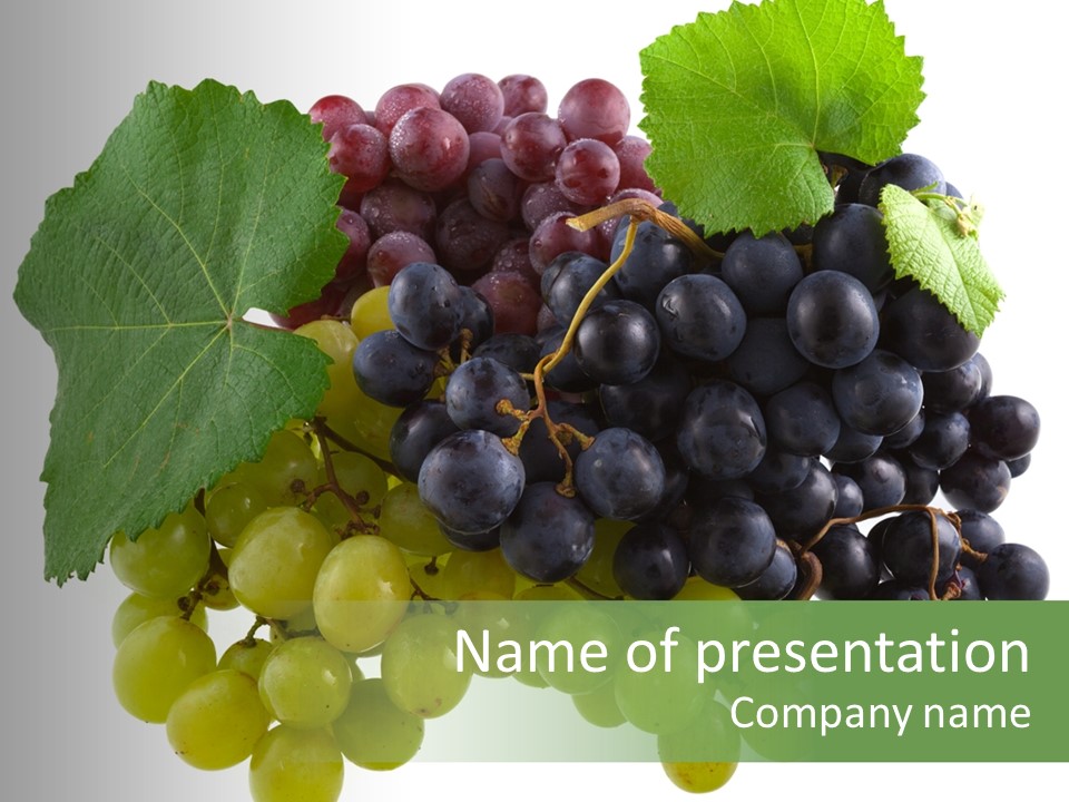 Grape Grapevine Bunch PowerPoint Template