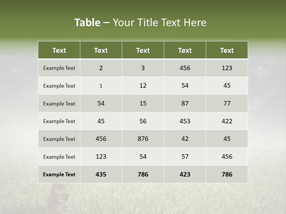 Meadow Sun Keep PowerPoint Template