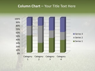 Meadow Sun Keep PowerPoint Template