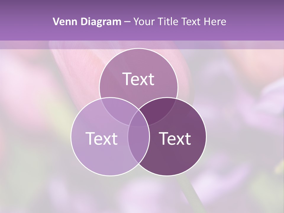 Floral Lilac Pretty PowerPoint Template
