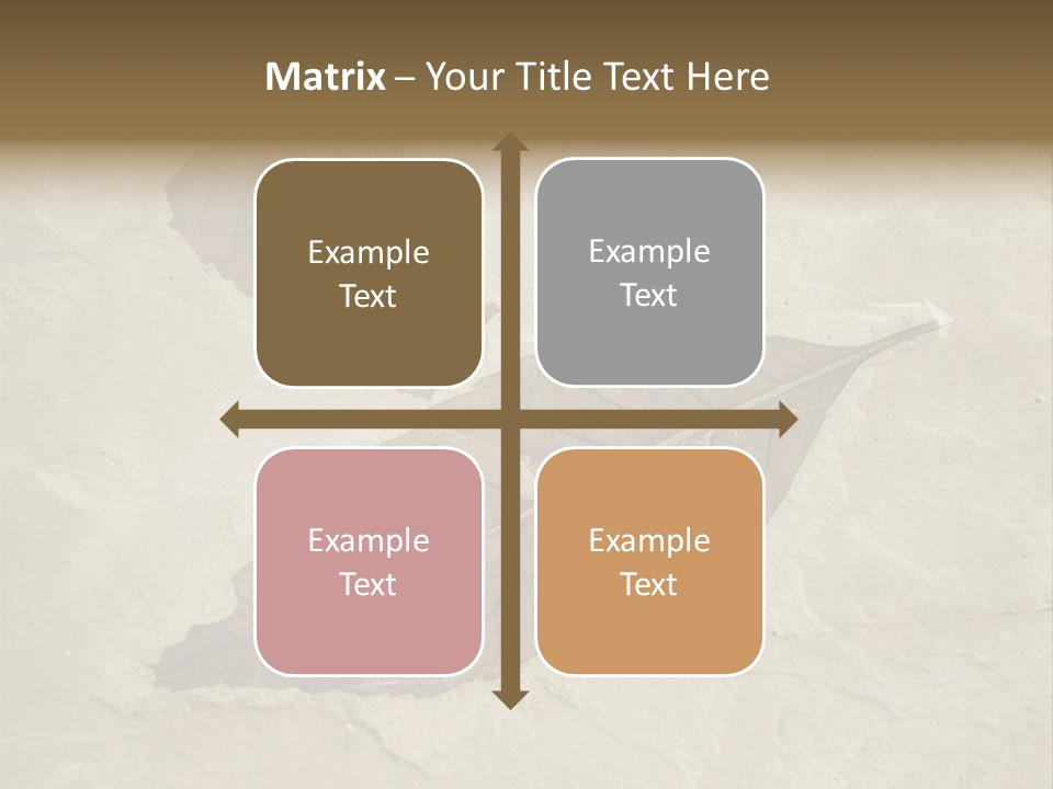 Fossilized Texture Macro PowerPoint Template