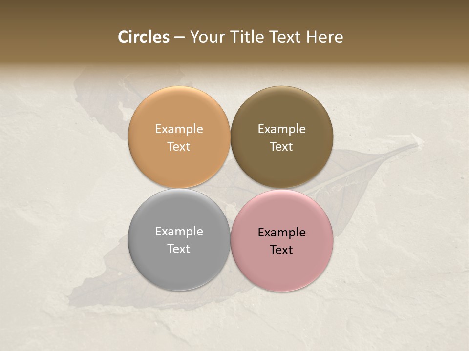 Fossilized Texture Macro PowerPoint Template